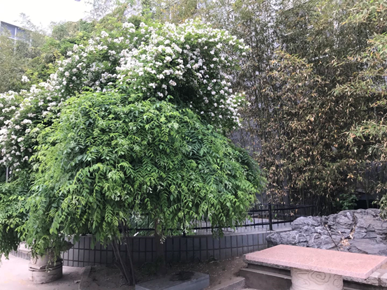 2021-03-01-1614596778220042905.png image.png